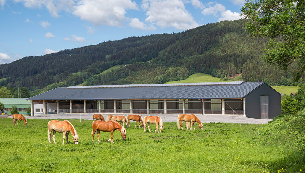 Reithalle Mürzzuschlag-Ganz